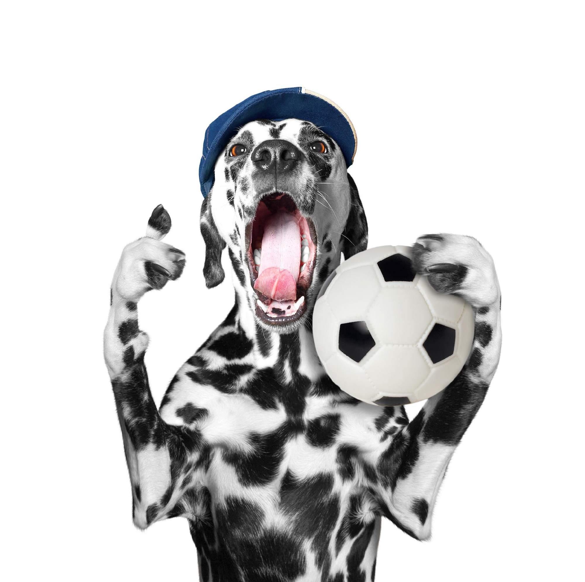 秋も深まり、サッカーにはいい季節！